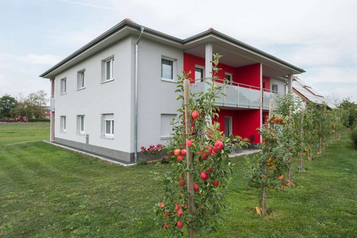 Hofmann`s Apartements&Ferienwohnungen Oberdachstetten Buitenkant foto