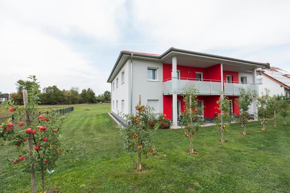 Hofmann`s Apartements&Ferienwohnungen Oberdachstetten Buitenkant foto